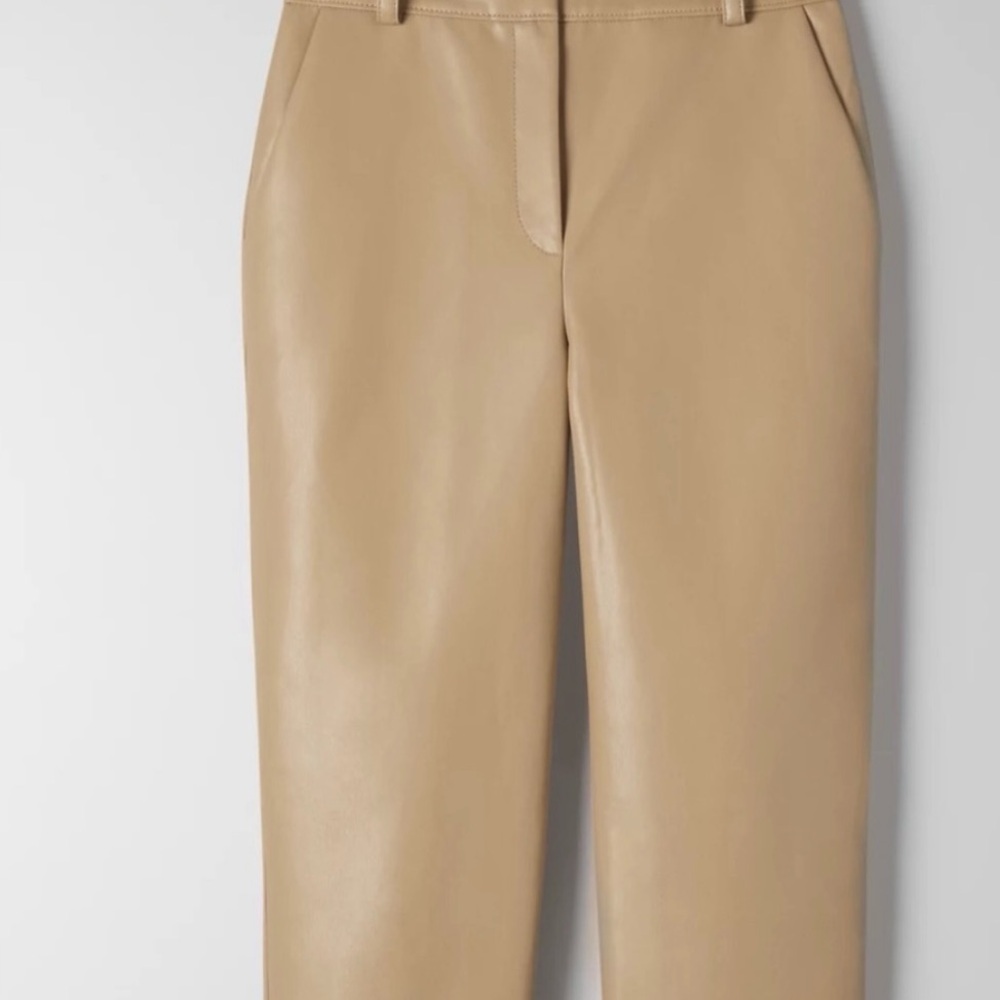 Aritzia Babaton Command Leather Pants